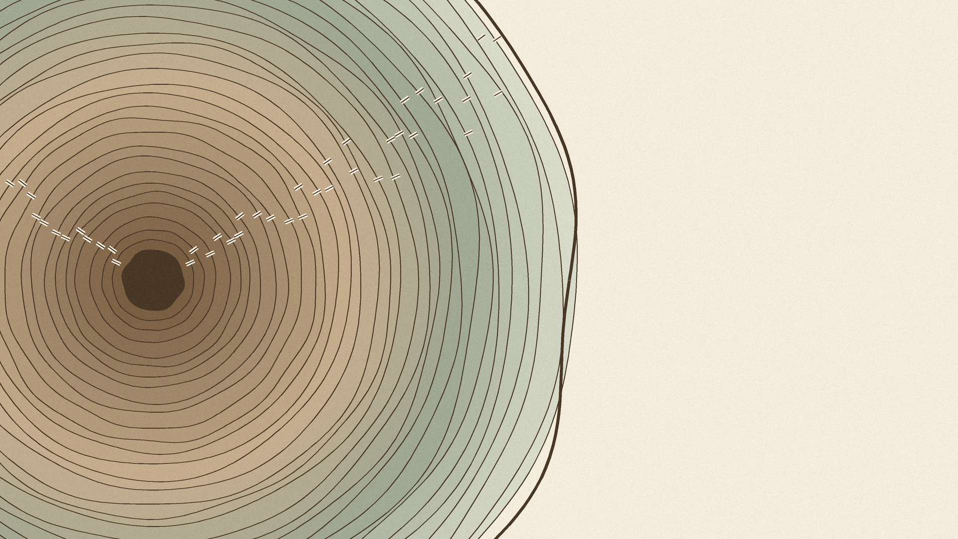 Flat tonal illustration of a tree cross-section: thirty-one growth rings shifting from warm walnut at the center to pale frost-sage at the edge, with small survey notches cut across the rings.