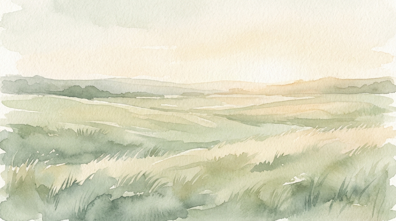 A calm meadow at golden hour